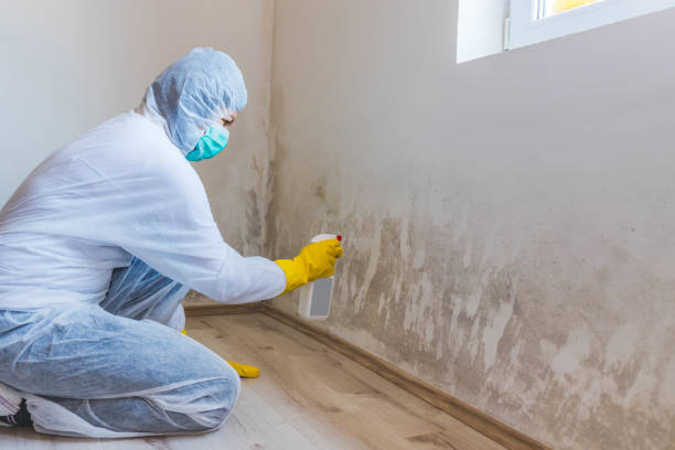 Bathroom Mold Removal assessment in Roanoke bathroom