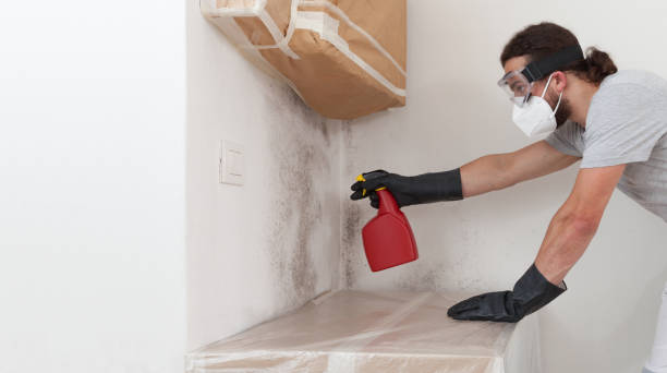 Attic Mold Remediation treatment on roof deck in Roanoke
